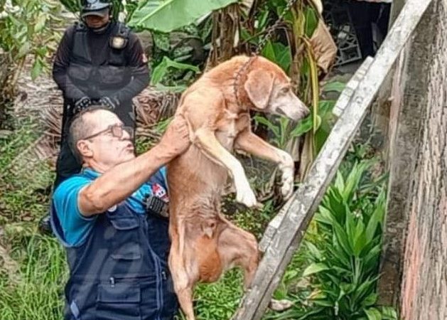 Rescate de can en abandono por serenazgo