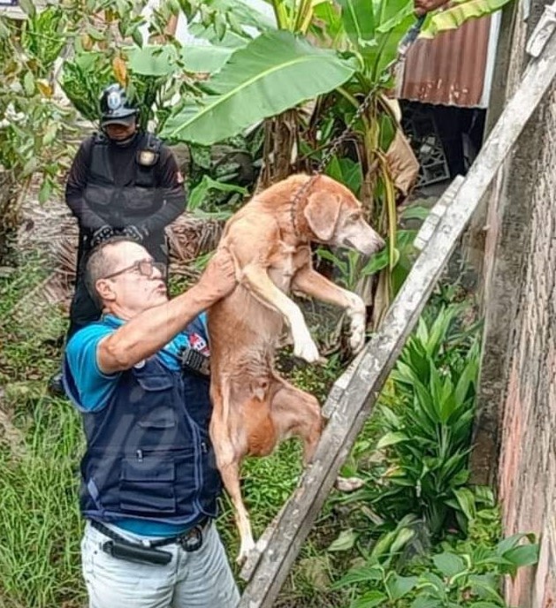 Rescate de can en abandono por serenazgo