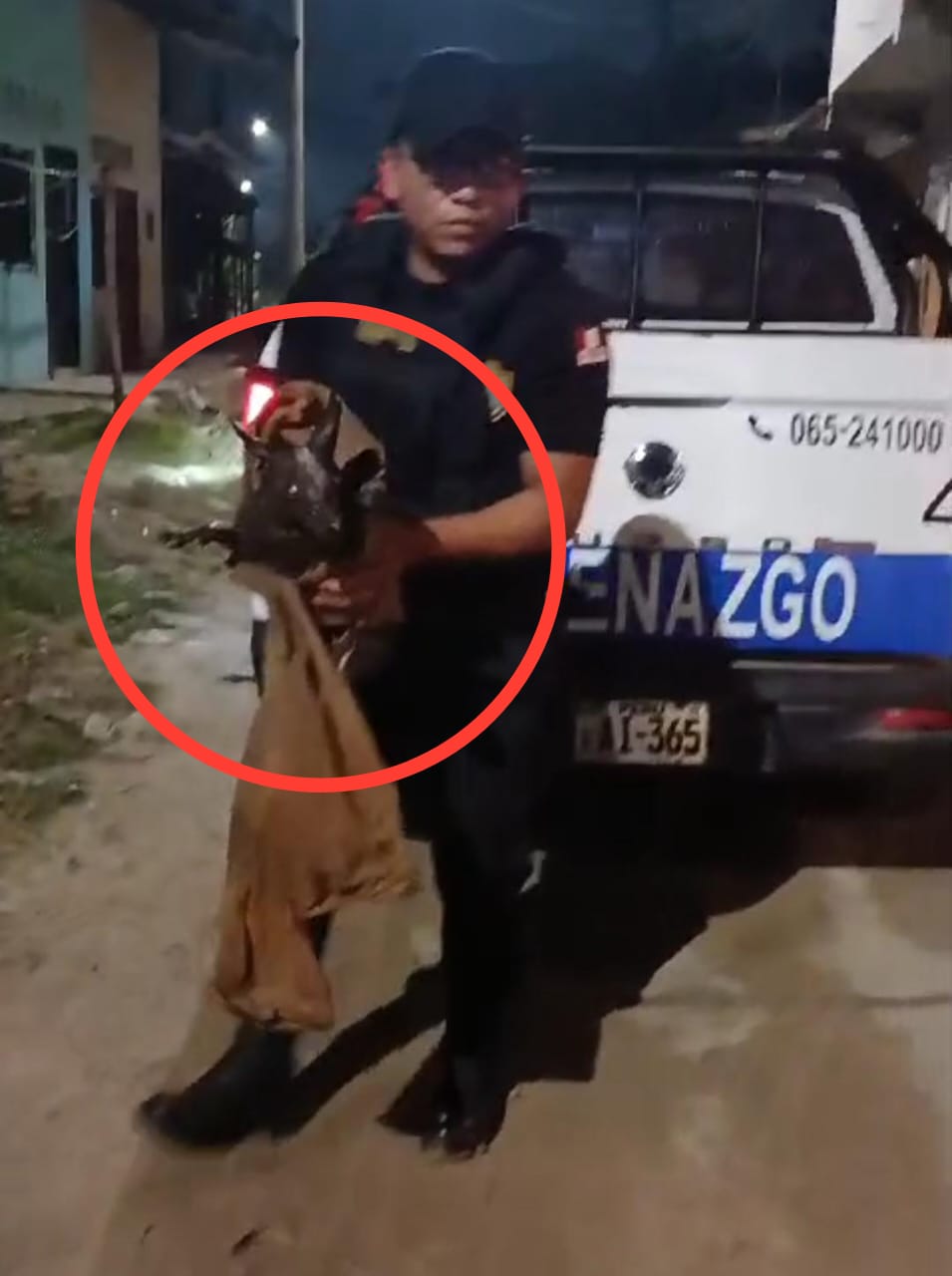 Serenazgo rescata a perro mestizo caído en sifón